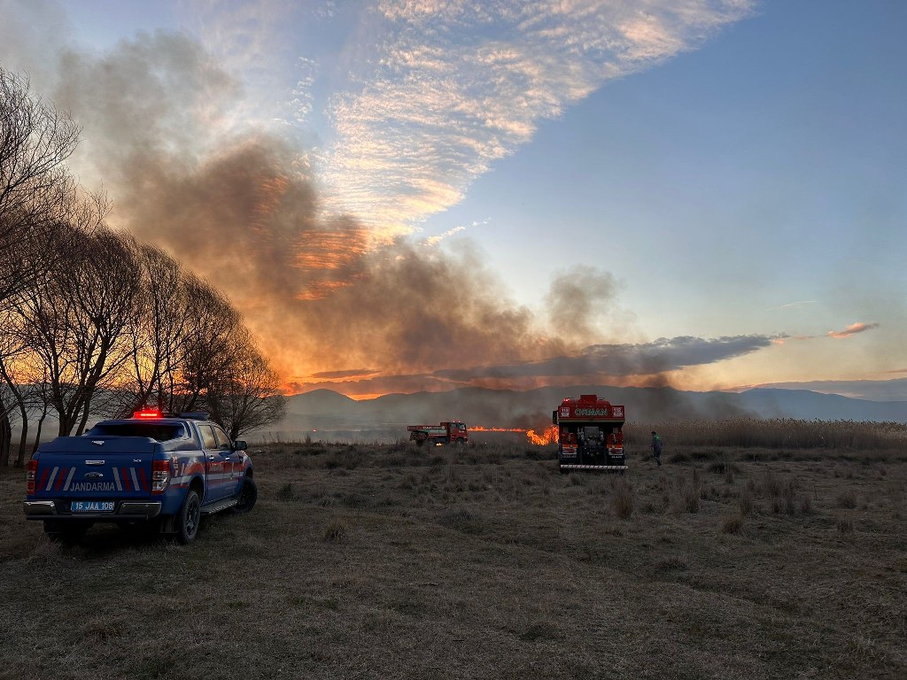 50 hektar alan yandı, 1 şüpheli gözaltında