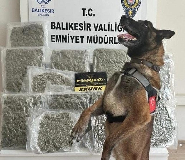 Narkotik köpeği 'Yaşa' sayesinde 10 kilo esrar yakalandı