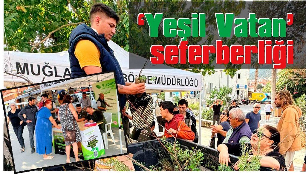 Datça’da ‘Yeşil Vatan’ seferberliği