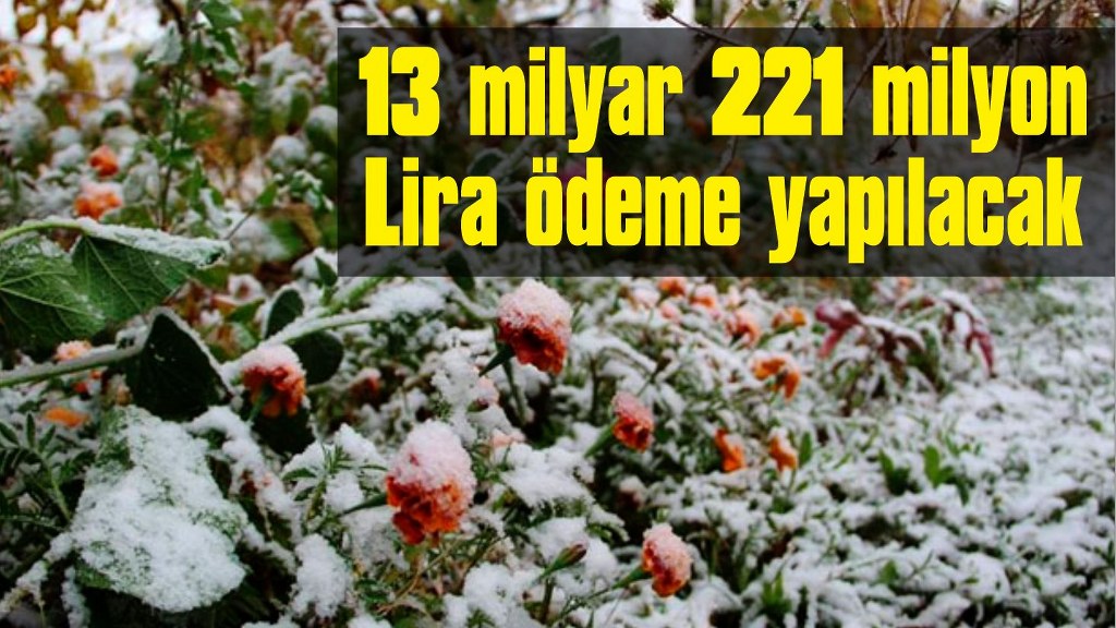 Çiftçilere 13 milyar 221 milyon lira zirai don destek ödemesi yapılacak