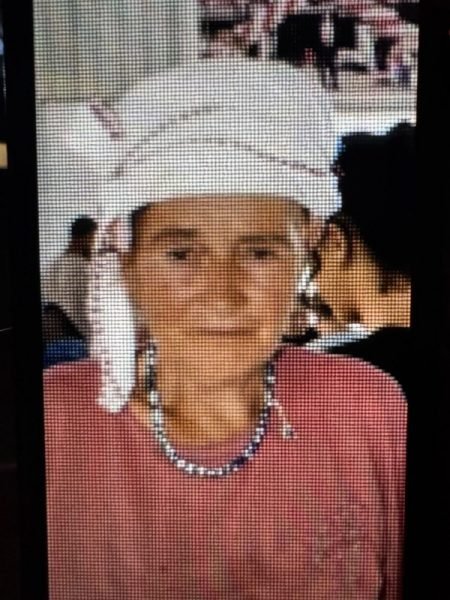 Keçi otlatmaya gitti, bir daha dönmedi: Yaşlı kadın her yerde aranıyor