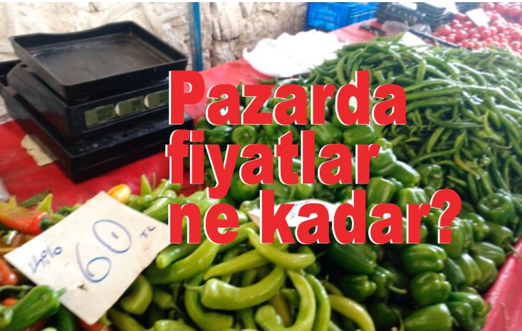 “Domatesin fiyatı 15 TL’ye kadar düştü”