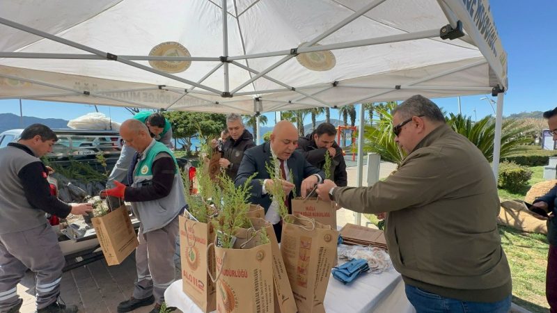 Marmaris’te Dünya Ormancılık Günü’nde binlerce fidan dağıtıldı