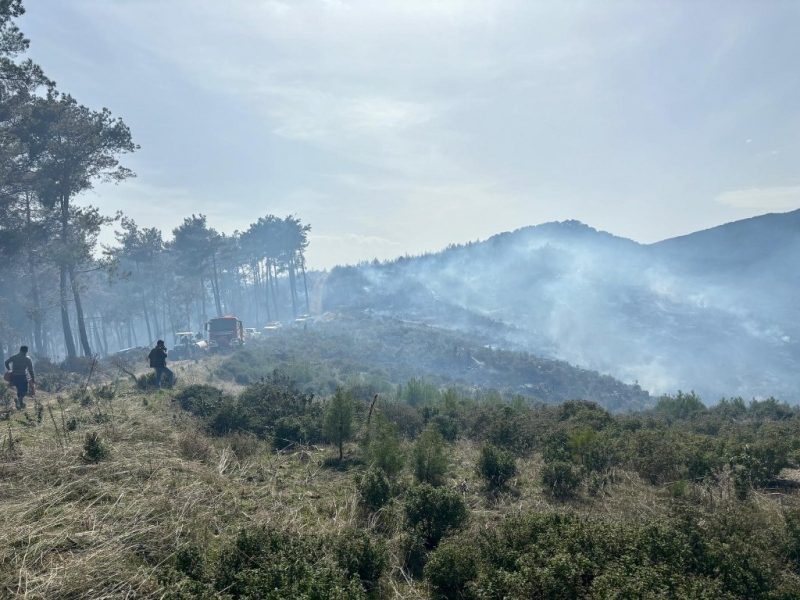 Orman yangını kontrol altına alındı