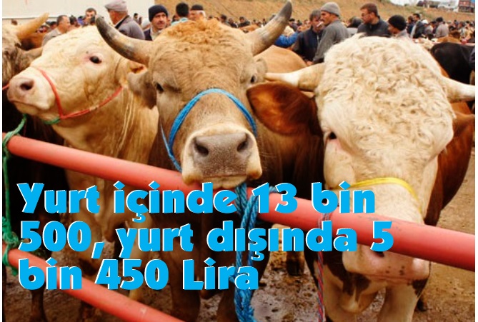 2025 yılı vekaletle kurban kesim bedeli belli oldu