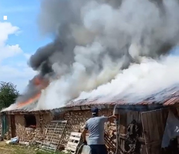 Farelerin kemirdiği kablodan çıkan yangın ahırı kül etti