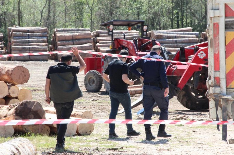 Tonlarca tomruk üzerine devrildi, hastanede hayatını kaybetti