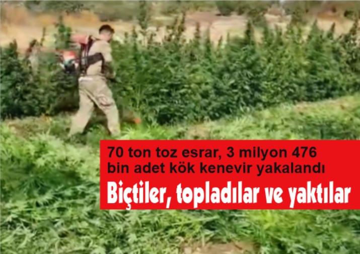 Tonlarca esrar, milyonlarca Hint Keneviri yakalandı
