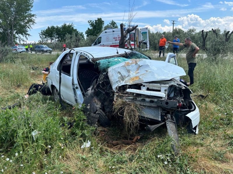 Otomobil zeytinliğe uçtu