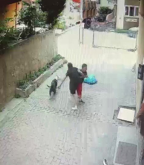 Ataşehir’de pitbull cinsi köpeğin çocuğa saldırdığı anlar kamerada