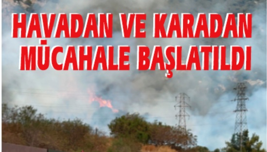 Bodrum’da AVM yakınındaki yangın kontrol altına alındı