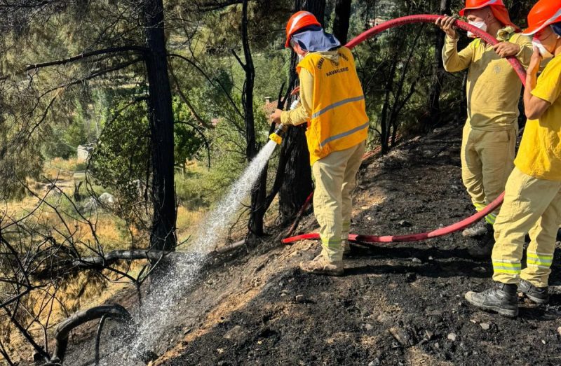 Yangın araçtan ormana ve ziraat alanına sıçradı