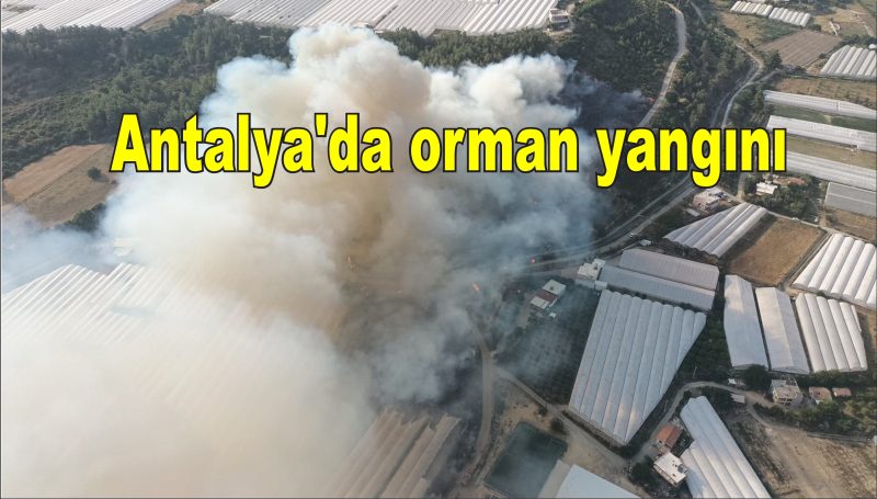 Antalya’da orman yangını