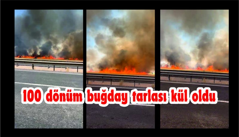 100 dönümlük buğday tarlası küle döndü