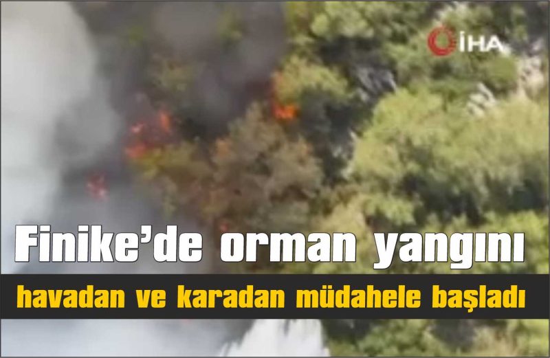 Finike’de orman yangınına havadan ve karadan müdahale bulunuluyor