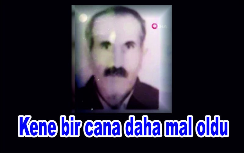 Kene bir cana daha mal oldu