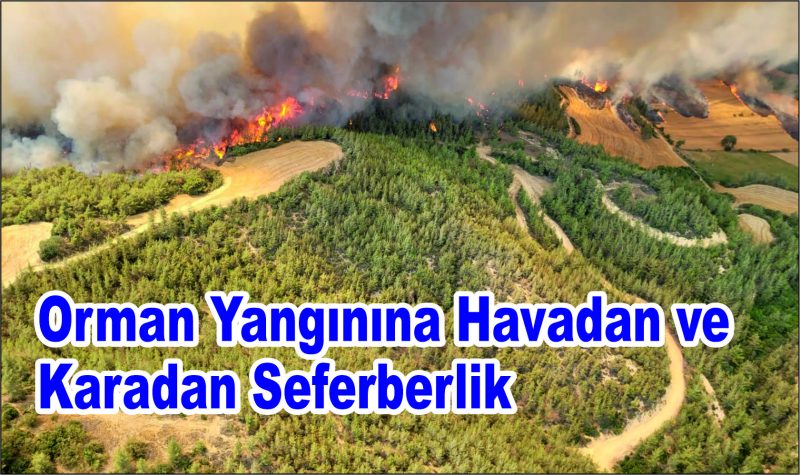 Orman Yangınına Havadan ve Karadan Seferberlik
