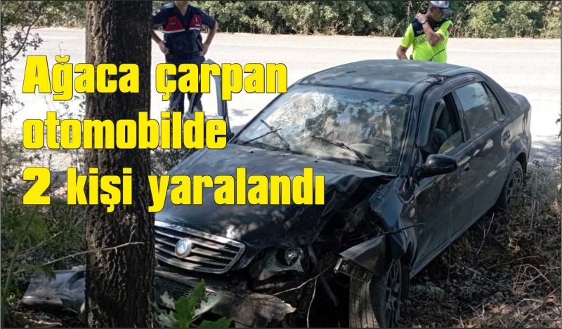 Ağaca çarpan otomobilde 2 kişi yaralandı