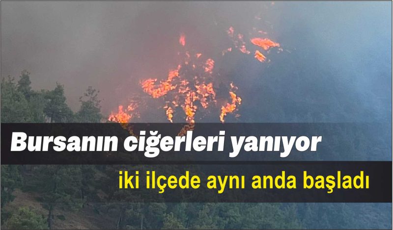Bursa’nın ciğerleri yanıyor