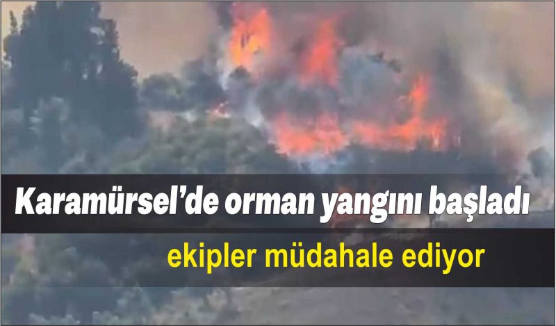 Karamürsel’de orman yangını başladı