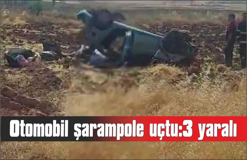 Otomobil şarampole uçtu: 3 yaralı