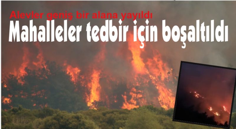 Rüzgarın etkisiyle alevler geniş bir alana yayıldı