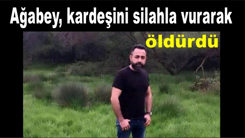 Ağabey, kardeşini silahla vurarak öldürdü