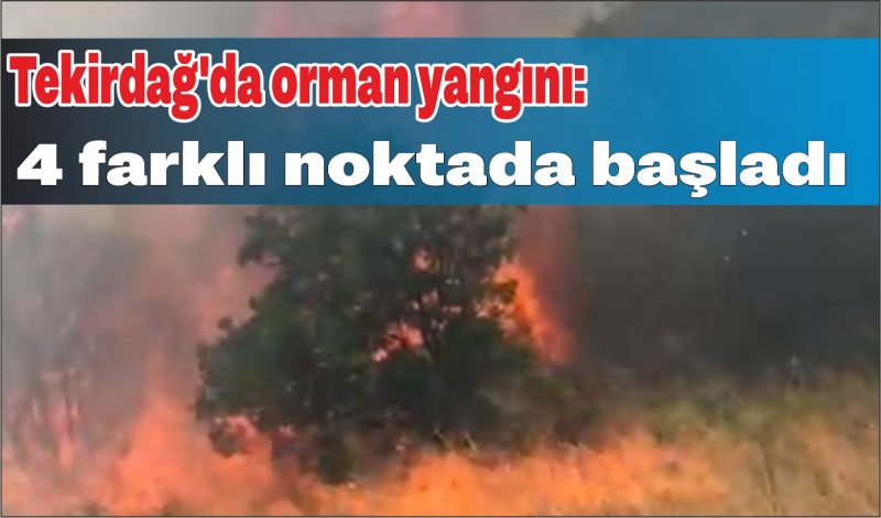 Tekirdağ’da orman yangını: 4 farklı noktada başladı