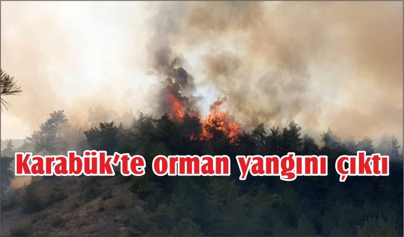 Karabük’te orman yangını çıktı