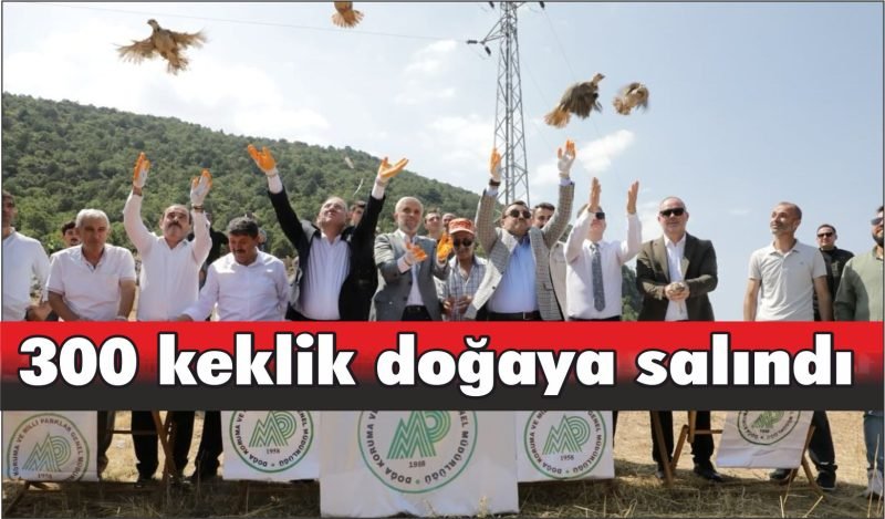 Kütahya’da 300 keklik doğaya salındı