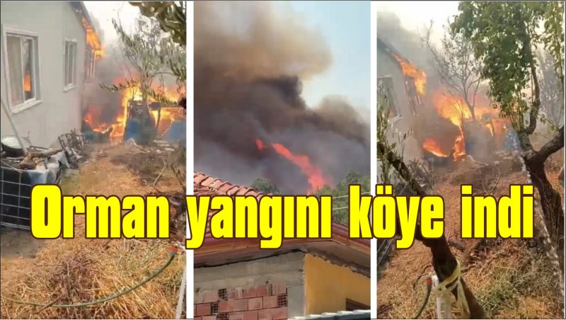 Orman yangını köye indi: “Kaç, artık hiçbir şey yapamayız”