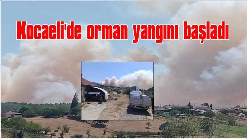 Kocaeli’de orman yangını başladı