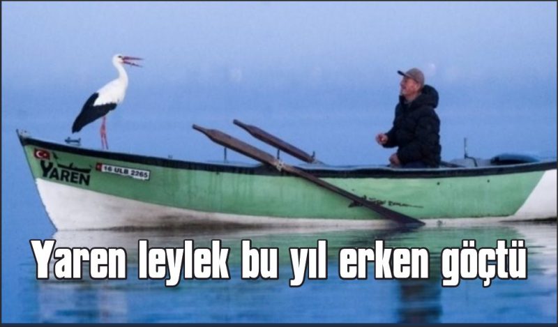 Yaren leylek bu yıl erken göçtü: Adem Yılmaz’dan duygulandıran veda