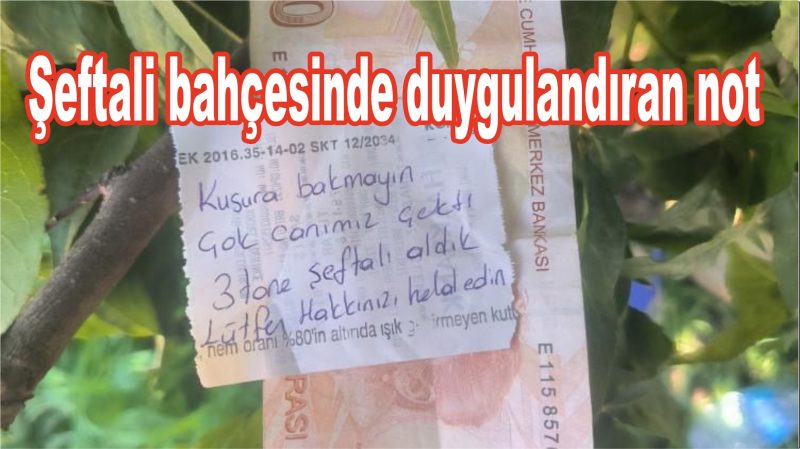 İnsanlık ölmemiş dedirten hareket