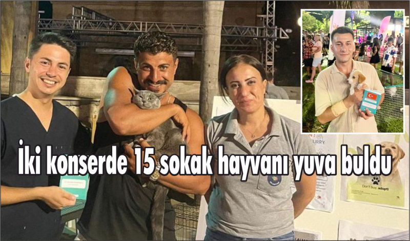 İki konserde 15 sokak hayvanı yuva buldu
