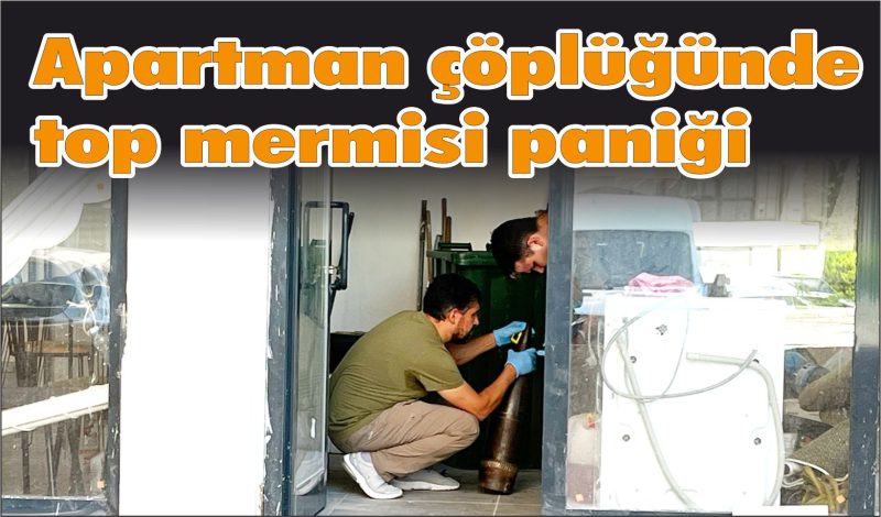 Apartmanda top mermisi bulundu
