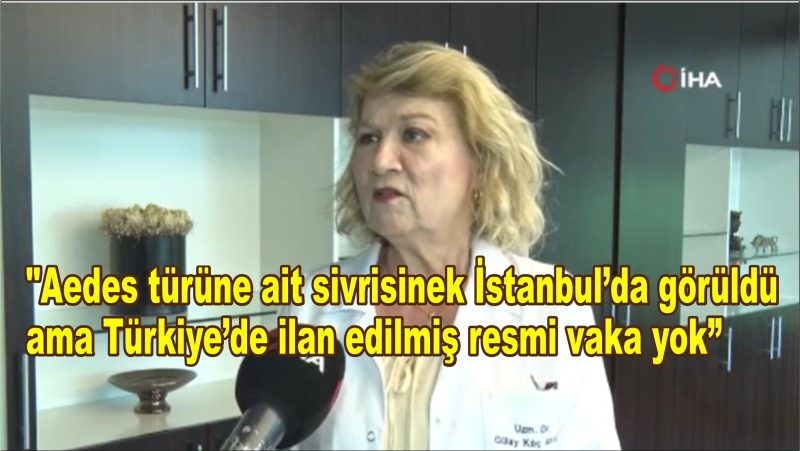 Chikungunya virüsü: Telaş edilecek bir şey yok
