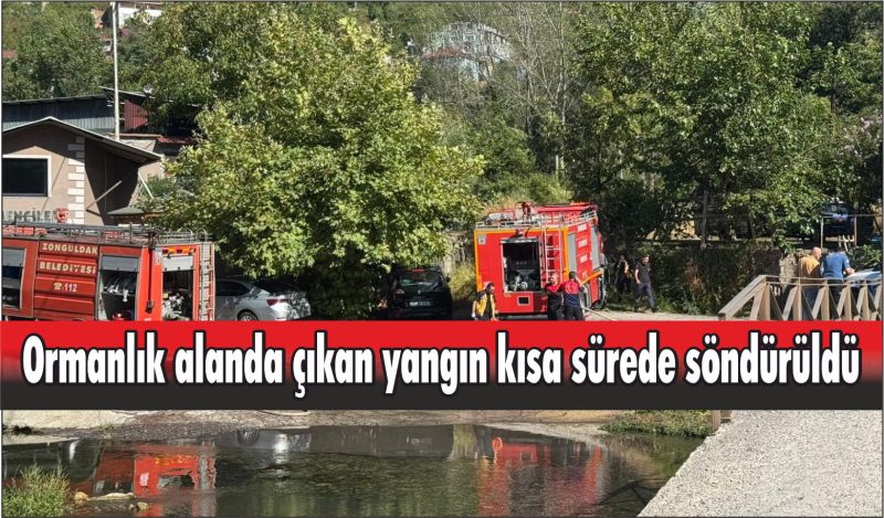 Ormanlık alanda çıkan yangın kısa sürede söndürüldü