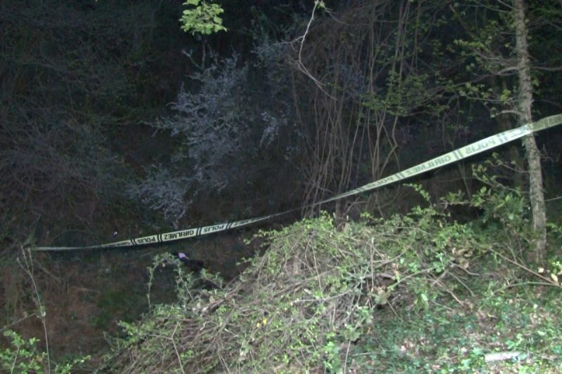 Ormanlık alanda erkek cesedi bulundu