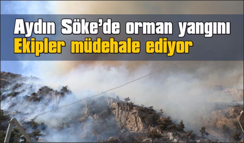 Sazlı’daki yangına 15 hava aracıyla müdahale ediliyor