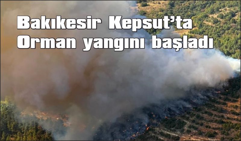 Kepsut’ta orman yangını başladı