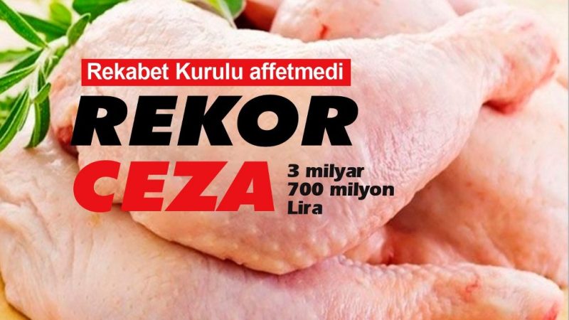 13 tavuk firmasına 3 milyar 700 milyon Lira ceza
