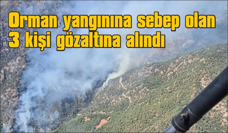 Ot temizlemek isterken ormanı yakan 3 şüpheli gözaltına alındı