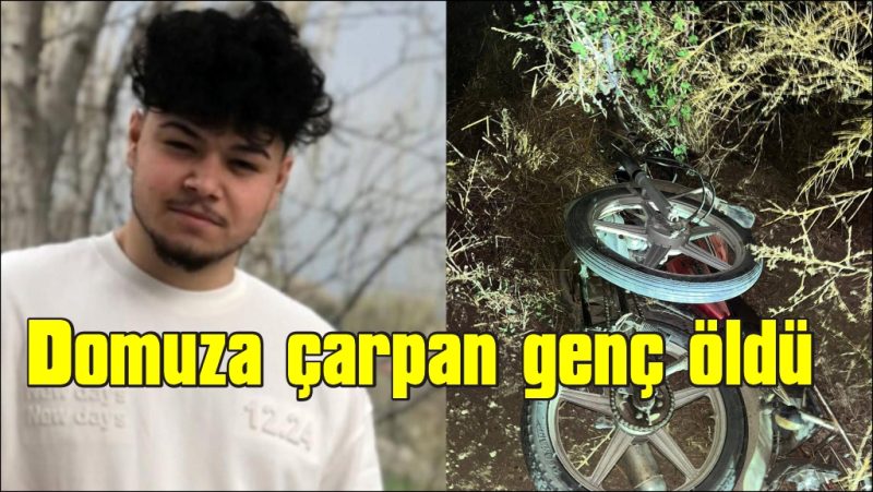 Motosikletiyle domuza çarpan genç hayatını kaybetti