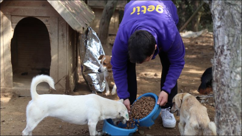  Getir’den bu yıl da 1 milyon kap mama desteği