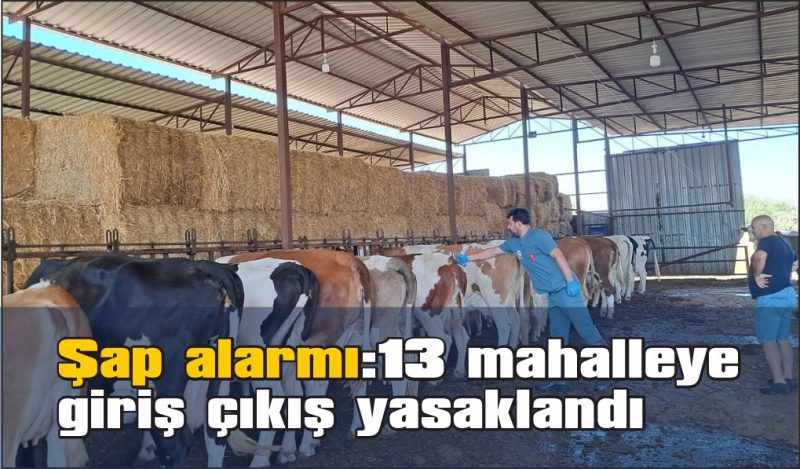 13 mahalleye giriş çıkışlar yasaklandı