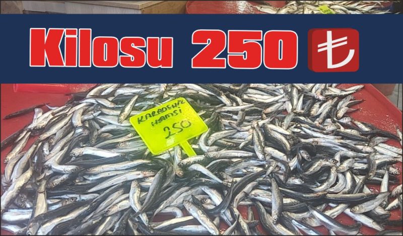 Karadeniz hamsisi kilosu 250 TL’den satışta