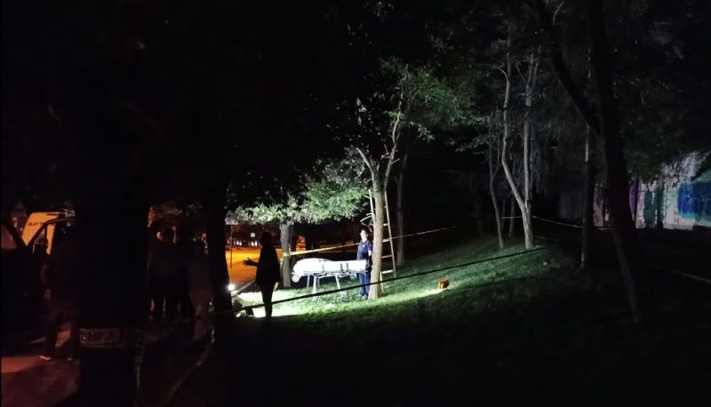 Bir şahıs  ağaçta bulundu