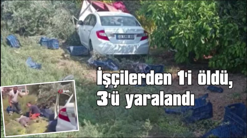 Otomobil bahçeye daldı: Hasat yapan işçilerden 1’i öldü, 3’ü yaralandı