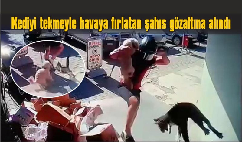 Köpeğiyle kavga eden kediyi tekmeyle metrelerce havaya fırlattı